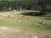 P5150373.JPG